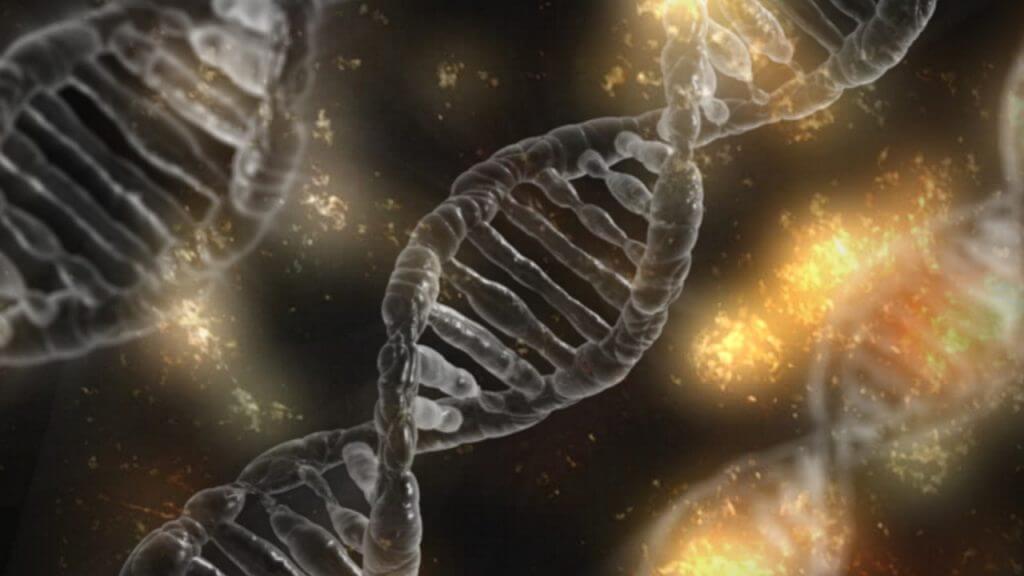 cause dell'infertilità maschile genetiche