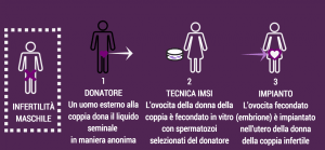 fecondazione eterologa maschile