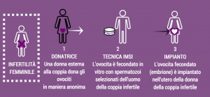 fecondazione eterologa ovodonazione