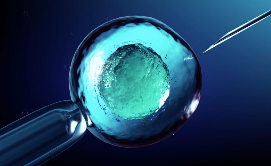 ovodonazione percentuai di successo 2019