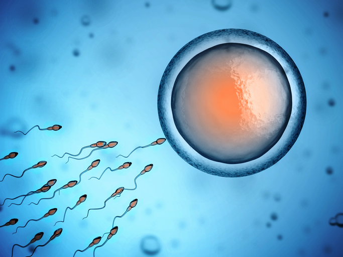 Astenospermia e infertilità: quali soluzioni?