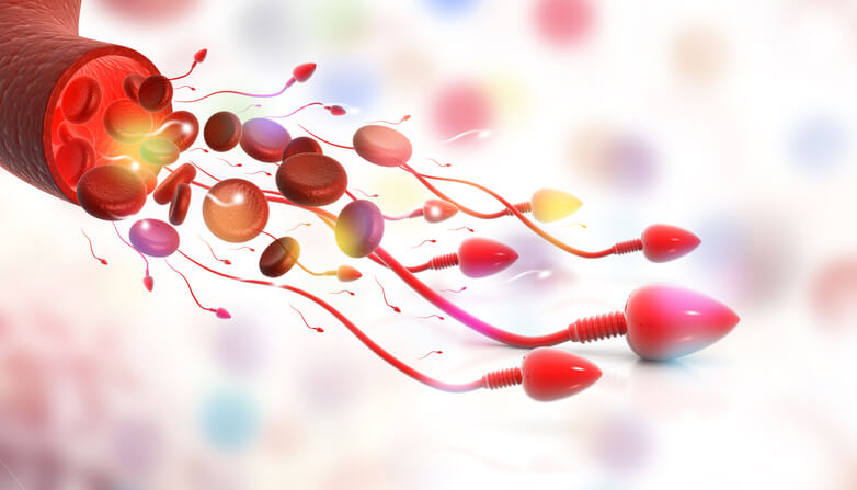 Sangue nello sperma, cause e rimedi dell’emospermia