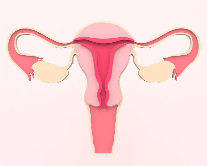 Periodo fertile muco: un indicatore naturale per l’ovulazione
