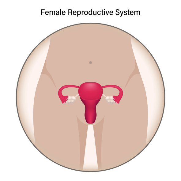 Raschiamento uterino, in cosa consiste?