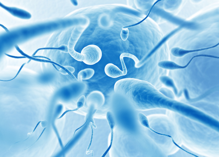 Quanto liquido seminale serve per rimanere incinta?