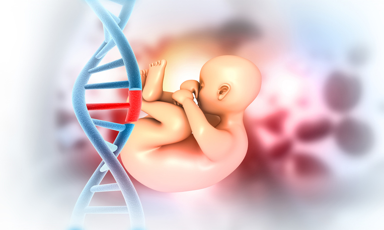 Fecondazione eterologa somiglianza