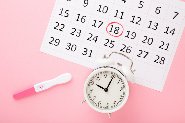 Ovulazione e concepimento, come calcolarli con 6 metodi