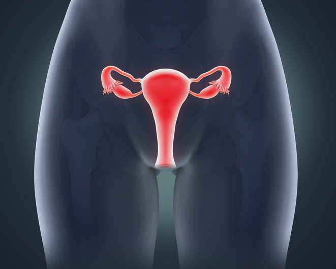 Utero retroverso e gravidanza: tutto quello che c’è da sapere