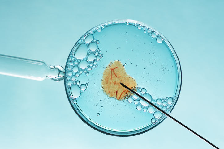Fecondazione in vitro: cos’è, come funziona, quando e chi può farla