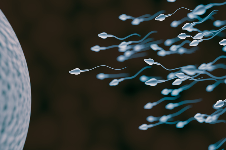 Fertilità maschile ed età: come preservarla al meglio