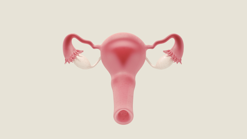 Riserva ovarica bassa: è possibile diventare madre?