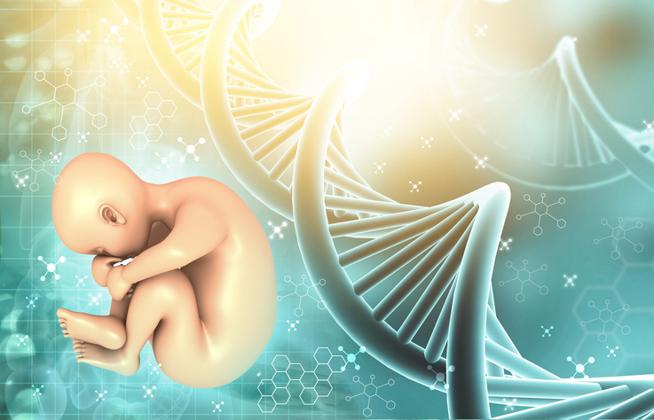 Aborto spontaneo cause genetiche comuni, trattamenti e cura