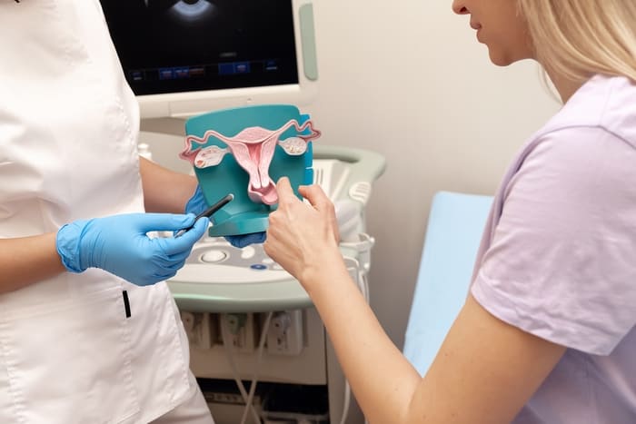 Come si prepara l'endometrio per accogliere il transfer embrionale?