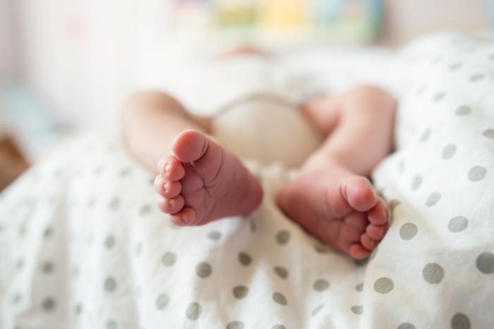 Percentuali di successo in PMA: come interpretare i tassi di gravidanza clinica
