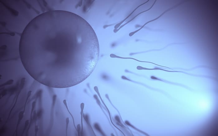 FIVET o ICSI: indicazioni cliniche e differenze nel trattamento in laboratorio