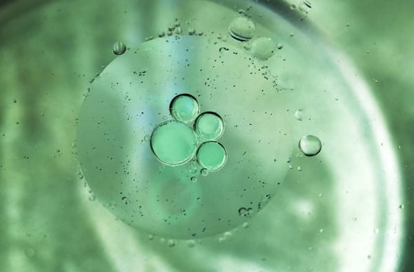 Embryoscope e tecnologia Time-Lapse: perché il monitoraggio continuo aumenta il successo