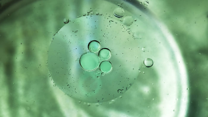 Embryoscope e tecnologia Time-Lapse: perché il monitoraggio continuo aumenta il successo