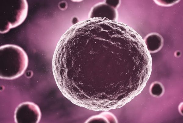Estensione della coltura a blastocisti: come avviene la selezione naturale in vitro
