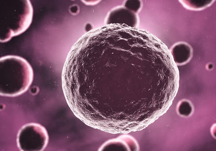 Estensione della coltura a blastocisti: come avviene la selezione naturale in vitro