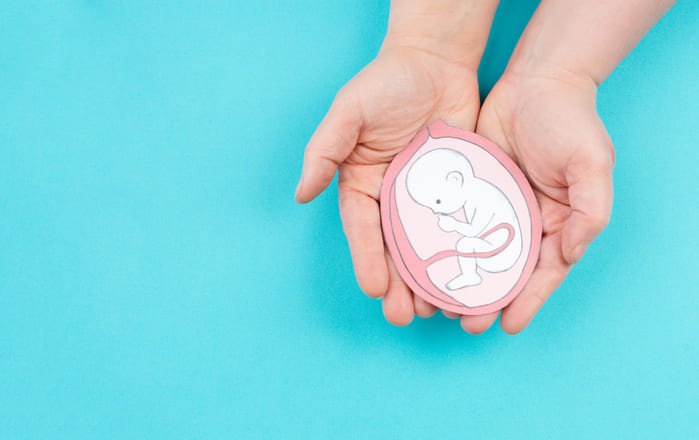 Il giorno dell'Embryo Transfer: cosa succede, quanto dura e come affrontarlo